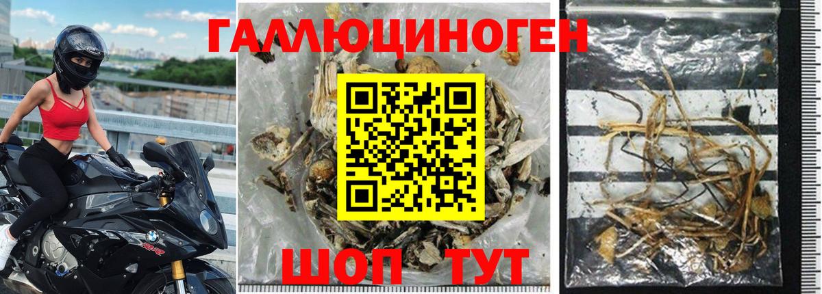 Галлюциногенные грибы мицелий  Галлюциногенные грибы Psilocybe  Нижнекамск  Вход с VPN 